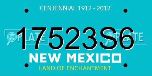 17523S6 New Mexico License Plate