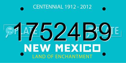 17524B9 New Mexico License Plate