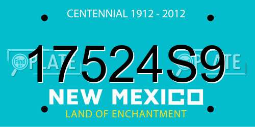 17524S9 New Mexico License Plate