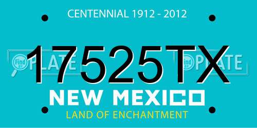 17525TX New Mexico License Plate
