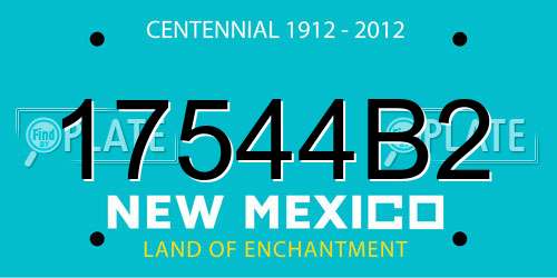 17544B2 New Mexico License Plate