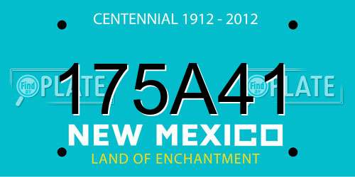 175A41 New Mexico License Plate