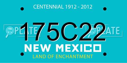 175C22 New Mexico License Plate