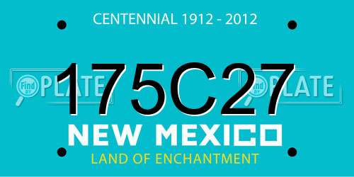 175C27 New Mexico License Plate