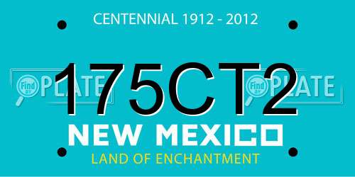 175CT2 New Mexico License Plate