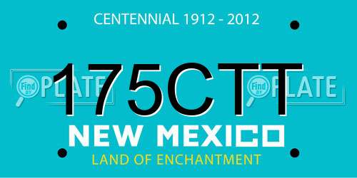 175CTT New Mexico License Plate
