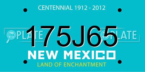 175J65 New Mexico License Plate