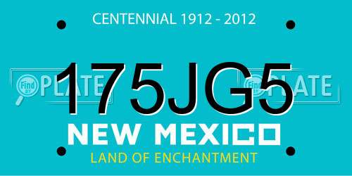 175JG5 New Mexico License Plate