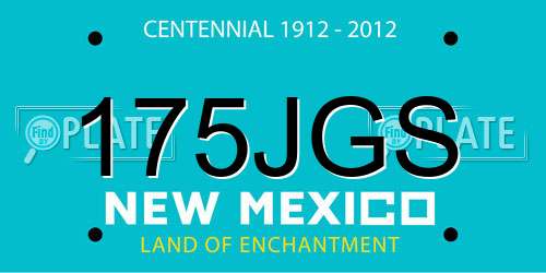 175JGS New Mexico License Plate