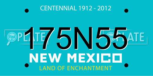 175N55 New Mexico License Plate