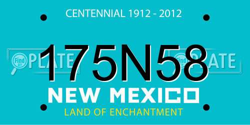175N58 New Mexico License Plate