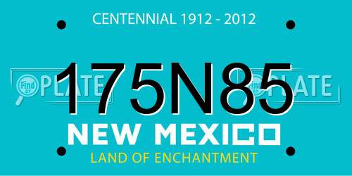 175N85 New Mexico License Plate