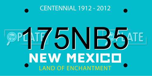 175NB5 New Mexico License Plate