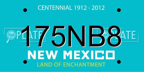 175NB8 New Mexico License Plate