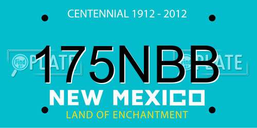175NBB New Mexico License Plate