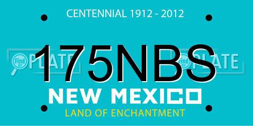 175NBS New Mexico License Plate