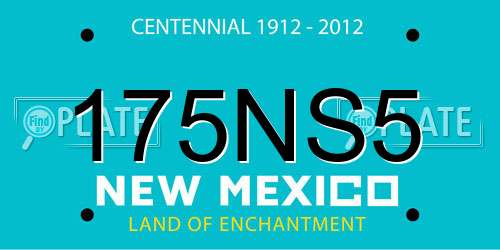 175NS5 New Mexico License Plate