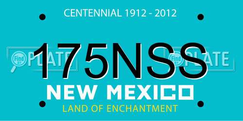 175NSS New Mexico License Plate