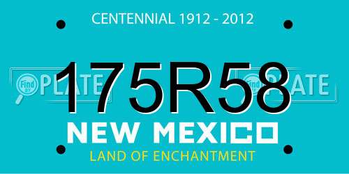 175R58 New Mexico License Plate