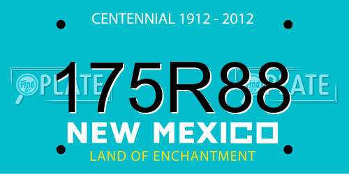 175R88 New Mexico License Plate