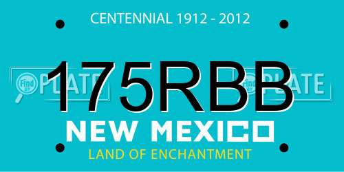 175RBB New Mexico License Plate
