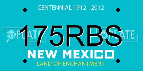 175RBS New Mexico License Plate