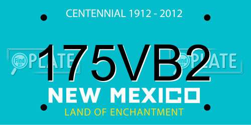 175VB2 New Mexico License Plate