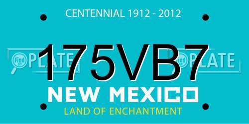 175VB7 New Mexico License Plate