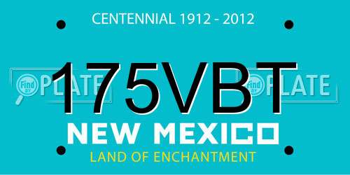 175VBT New Mexico License Plate