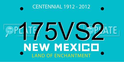 175VS2 New Mexico License Plate
