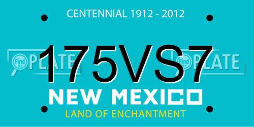 175VS7 New Mexico License Plate
