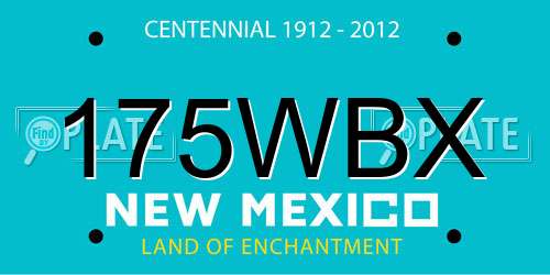 175WBX New Mexico License Plate