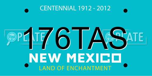 176TAS New Mexico License Plate