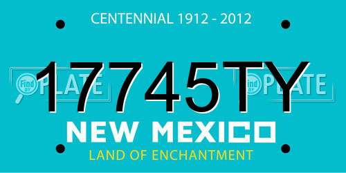 17745TY New Mexico License Plate