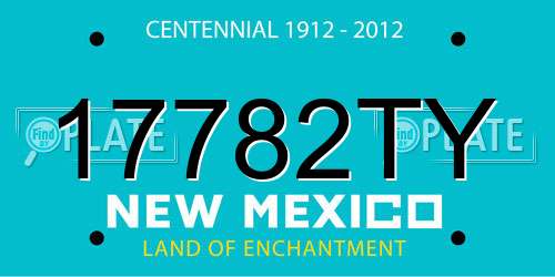 17782TY New Mexico License Plate