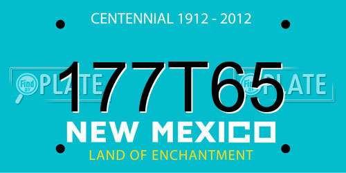 177T65 New Mexico License Plate