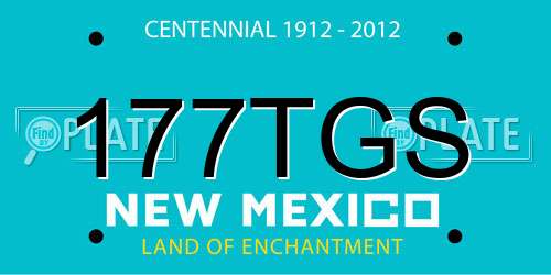 177TGS New Mexico License Plate