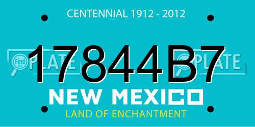 17844B7 New Mexico License Plate
