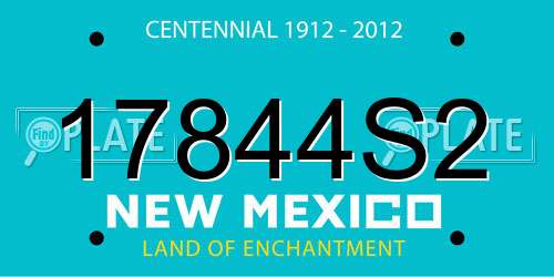 17844S2 New Mexico License Plate