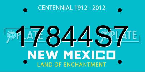 17844S7 New Mexico License Plate