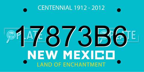 17873B6 New Mexico License Plate