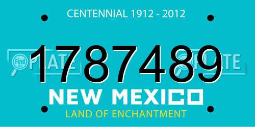1787489 New Mexico License Plate