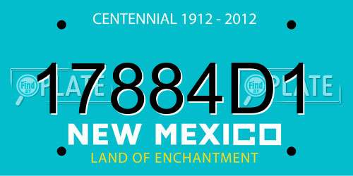 17884D1 New Mexico License Plate