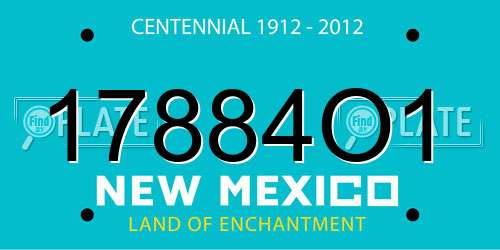 17884O1 New Mexico License Plate