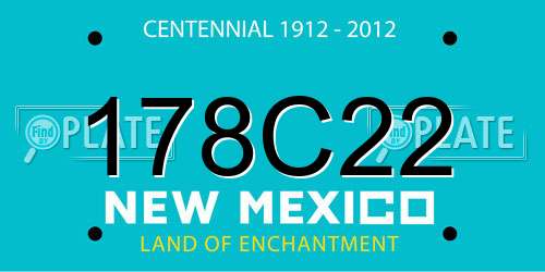 178C22 New Mexico License Plate