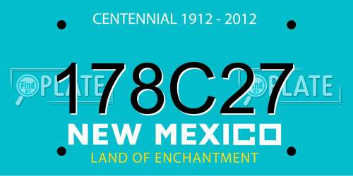 178C27 New Mexico License Plate