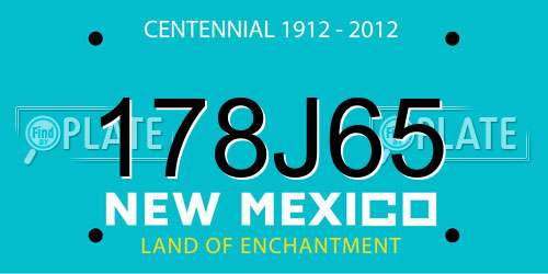 178J65 New Mexico License Plate