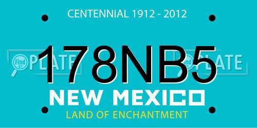 178NB5 New Mexico License Plate