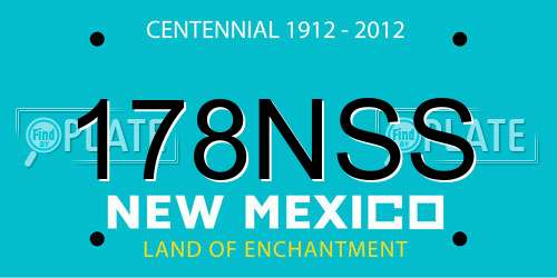 178NSS New Mexico License Plate