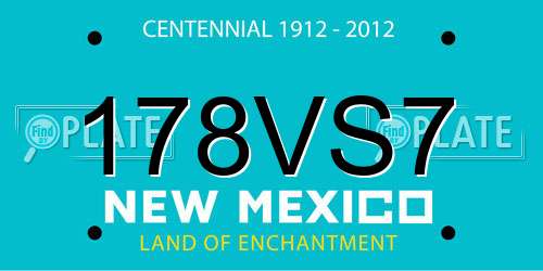 178VS7 New Mexico License Plate